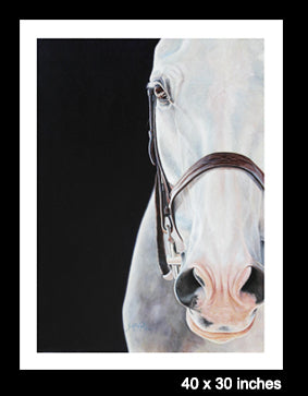 Bridle - LIMITED EDITION PRINT